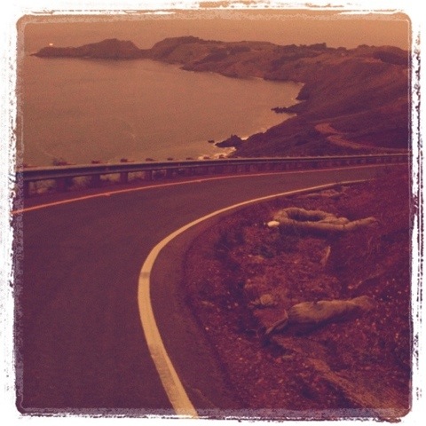 Road to Point Bonita
